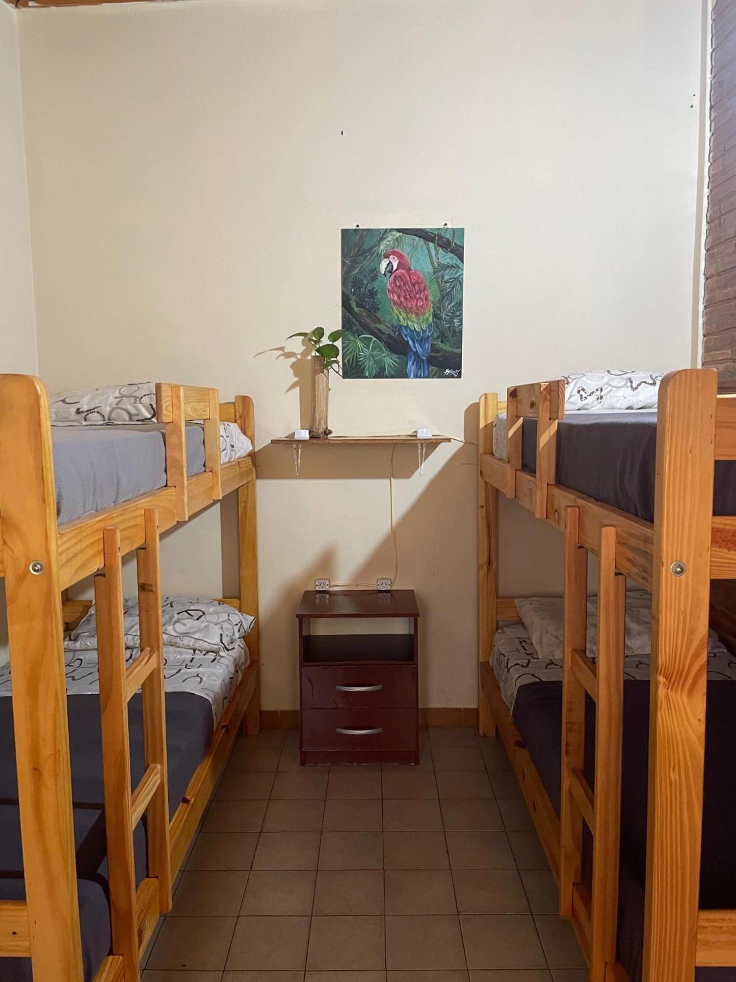 Bungalow Hostel Iguazu Puerto Iguazú Exterior foto